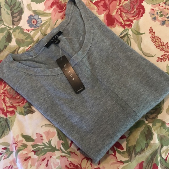 CYRUS Size 2X Scoopneck Ribbed Trim Tunic length Soft Gray Classic $88 NEW - Picture 3 of 16
